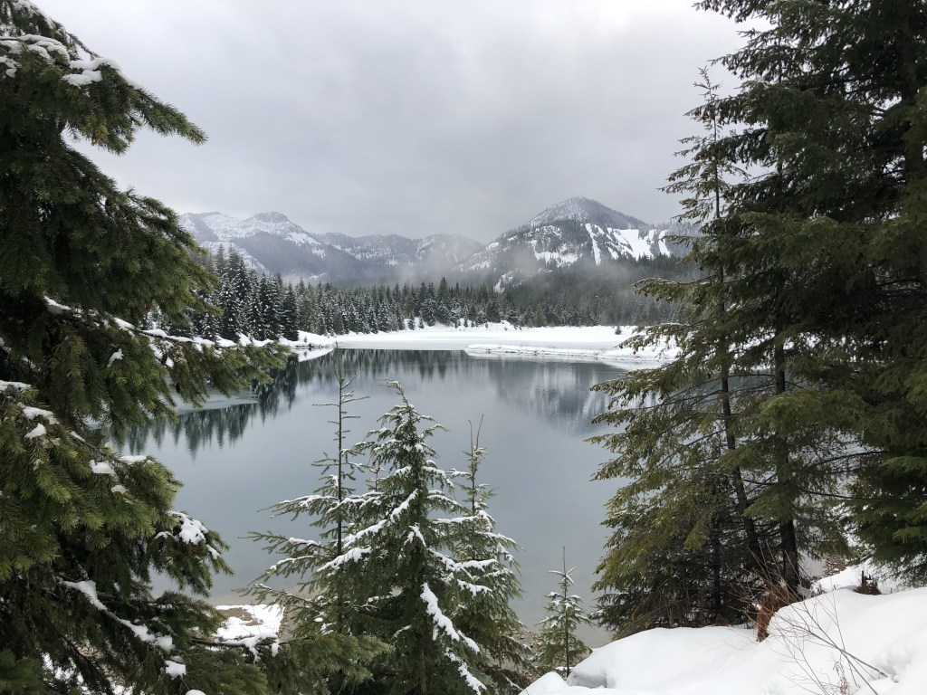 What to do in Winter to Prepare for an Epic PNW&nbsp;Summer